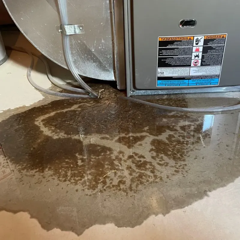 Pipe Burst and Leak Restoration in Knott County, KY