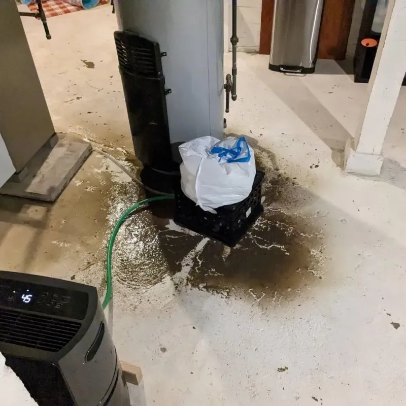 Sewage Backup Cleanup Service in Knott County, KY